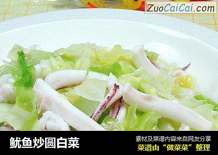 鱿鱼炒圆白菜