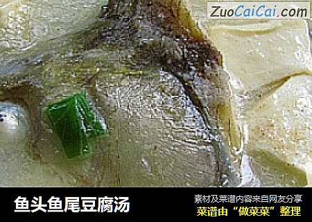 魚頭魚尾豆腐湯封面圖