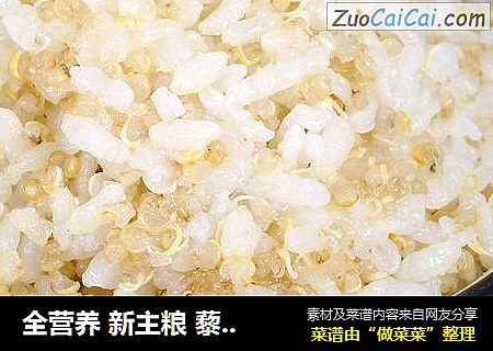 全營養 新主糧 藜麥大米飯封面圖