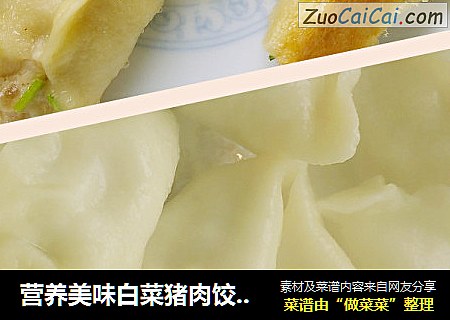 營養美味白菜豬肉餃子（內附鍋貼做法）封面圖