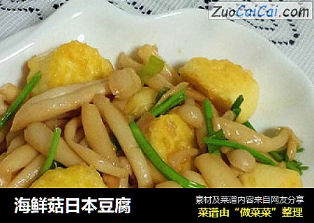 海鮮菇日本豆腐封面圖