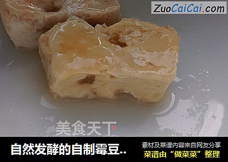 自然发酵的自制霉豆腐-豆腐乳-毛豆腐