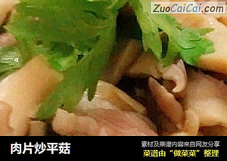 肉片炒平菇封面圖