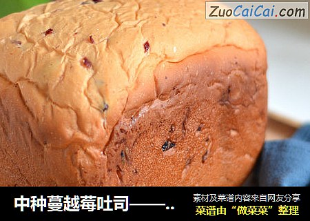 中种蔓越莓吐司——ACA-MB500面包机