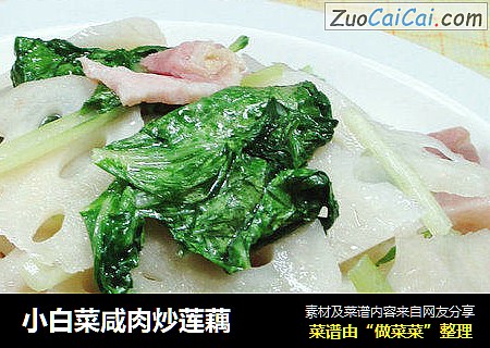 小白菜鹹肉炒蓮藕 封面圖