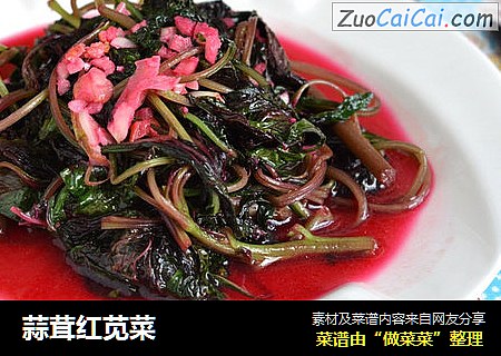 蒜茸红苋菜