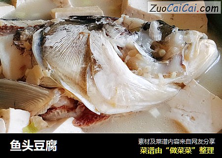 魚頭豆腐封面圖
