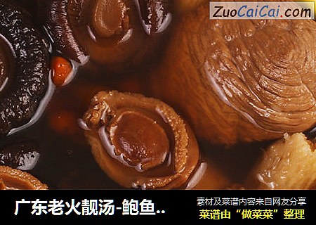 廣東老火靓湯-鮑魚仔海珍花菇黃芪湯封面圖