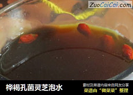 桦褐孔菌靈芝泡水封面圖