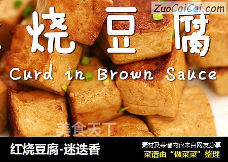 紅燒豆腐-迷疊香封面圖