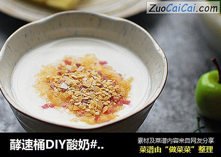 酵速桶DIY酸奶#元氣道場#封面圖