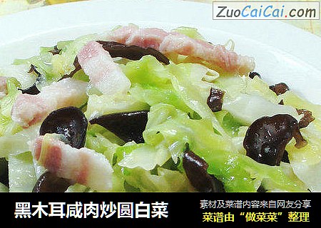黑木耳鹹肉炒圓白菜封面圖