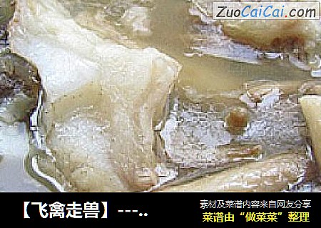 【飞禽走兽】----茶树菇牛骨煲
