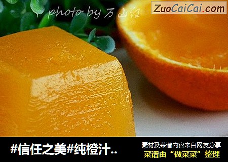 #信任之美#純橙汁果凍封面圖