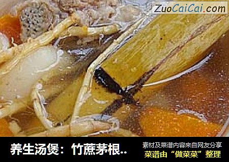 養生湯煲：竹蔗茅根胡蘿蔔湯封面圖