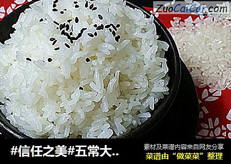 #信任之美#五常大米飯封面圖
