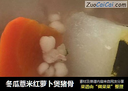 冬瓜薏米紅蘿蔔煲豬骨封面圖