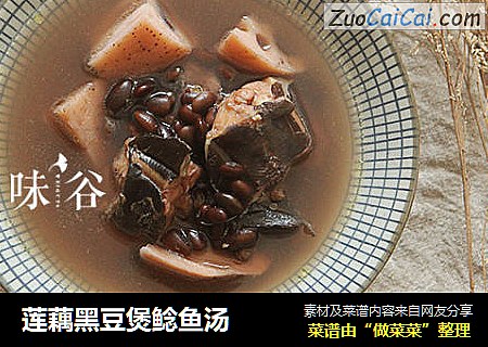 莲藕黑豆煲鲶鱼汤