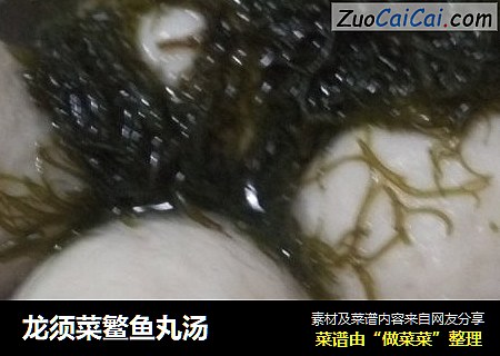 龍須菜鳘魚丸湯封面圖