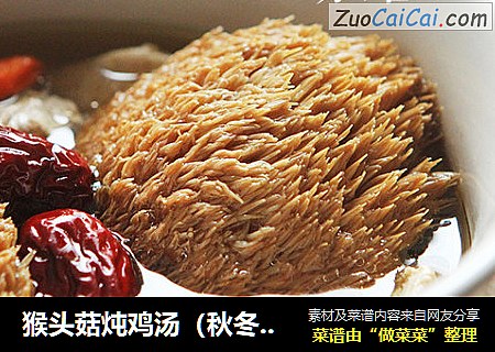 猴頭菇炖雞湯（秋冬養生）封面圖
