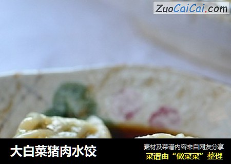 大白菜猪肉水饺