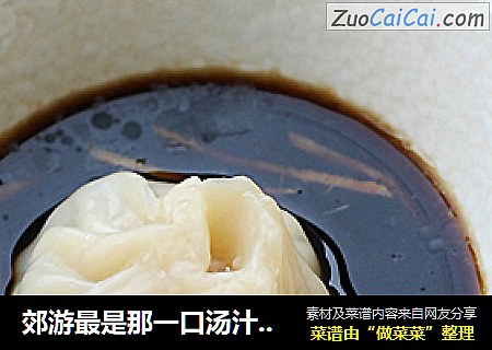 郊游最是那一口汤汁的诱惑上海小笼汤包
