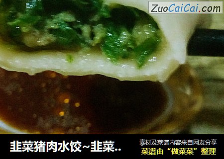 韭菜猪肉水饺~韭菜猪肉饺子