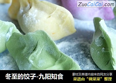 冬至的饺子-九阳知食