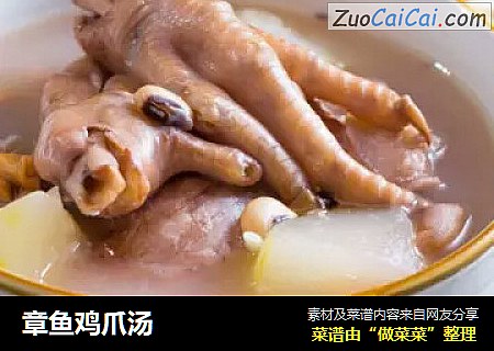 章魚雞爪湯封面圖