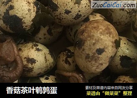 香菇茶葉鹌鹑蛋封面圖