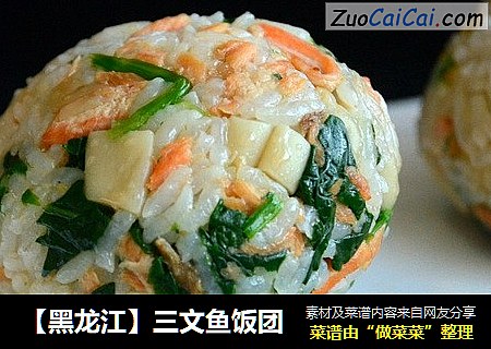 【黑龍江】三文魚飯團封面圖