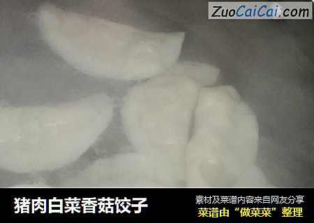 猪肉白菜香菇饺子