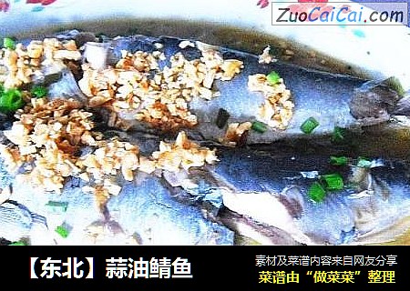 【东北】蒜油鲭鱼