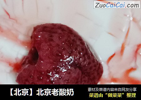 【北京】北京老酸奶封面圖
