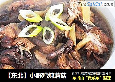 【东北】小野鸡炖蘑菇