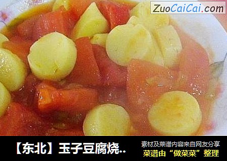 【東北】玉子豆腐燒番茄封面圖
