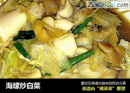 海螺炒白菜