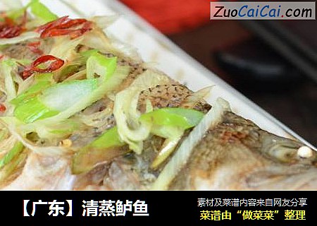 【廣東】清蒸鲈魚封面圖