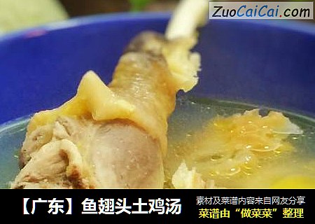 【廣東】魚翅頭土雞湯封面圖