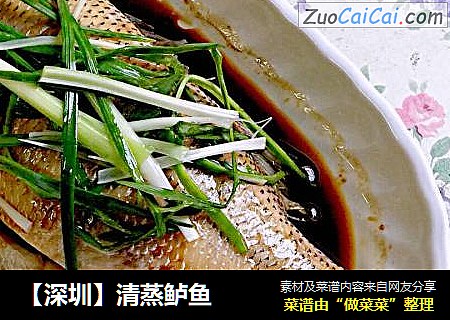 【深圳】清蒸鲈魚封面圖