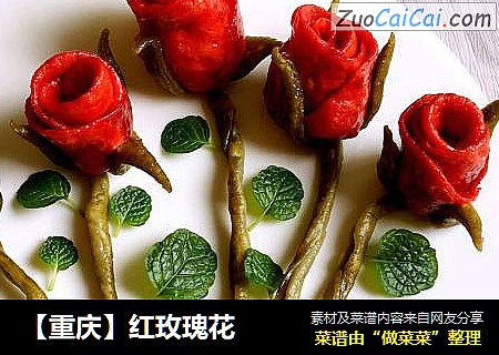 【重慶】紅玫瑰花封面圖