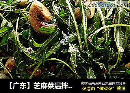【广东】芝麻菜温拌蘑菇