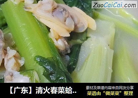 【广东】清火春菜蛤蜊汤菜
