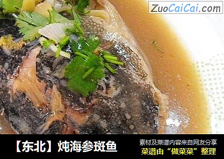 【東北】炖海參斑魚封面圖