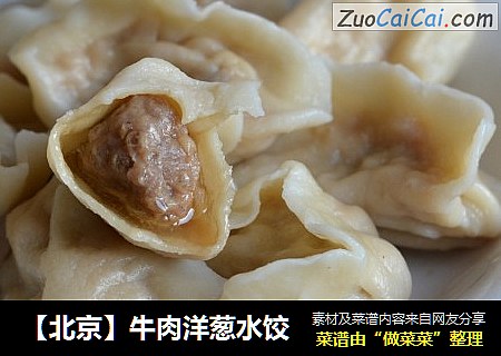 【北京】牛肉洋葱水饺
