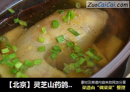【北京】靈芝山藥鴿子湯封面圖