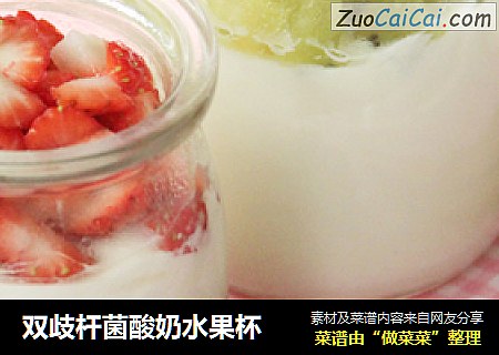 双歧杆菌酸奶水果杯