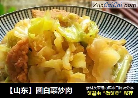 【山東】圓白菜炒肉封面圖