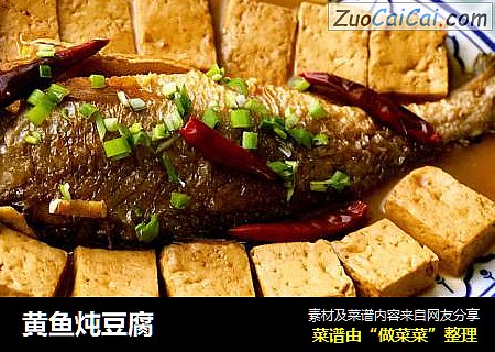 黃魚炖豆腐封面圖