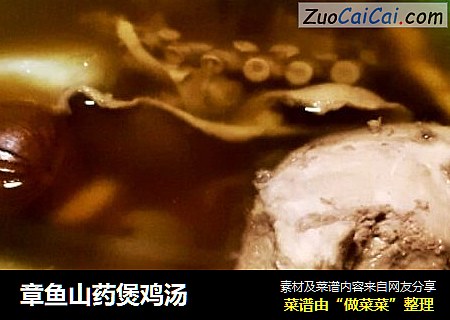 章魚山藥煲雞湯封面圖